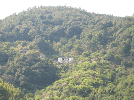 东明镇人口_东明镇地图(2)